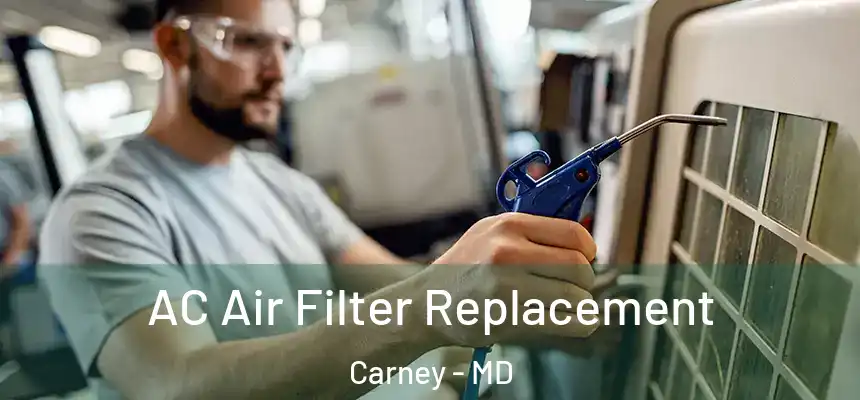 AC Air Filter Replacement Carney - MD