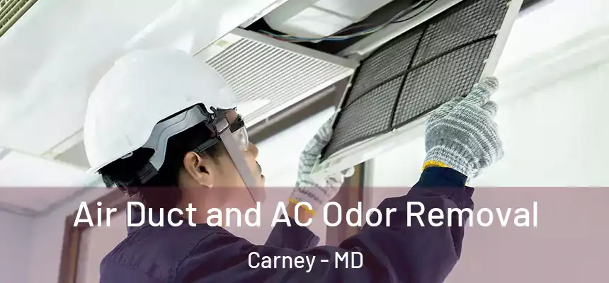  Air Duct and AC Odor Removal Carney - MD