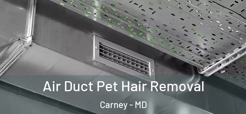  Air Duct Pet Hair Removal Carney - MD