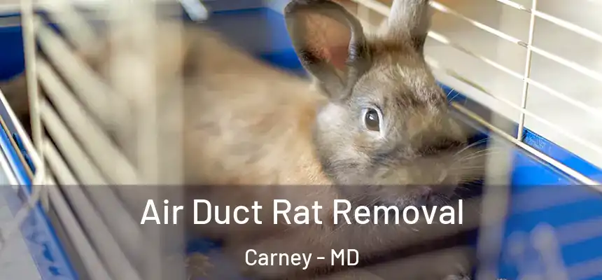 Air Duct Rat Removal Carney - MD