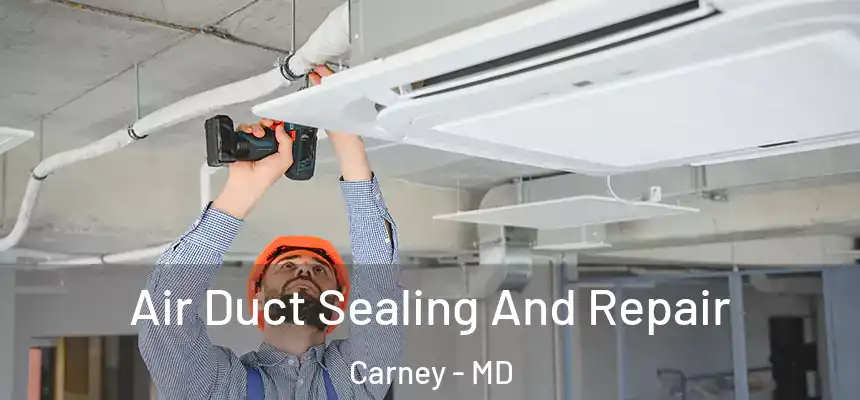  Air Duct Sealing And Repair Carney - MD