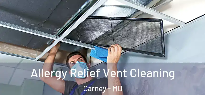  Allergy Relief Vent Cleaning Carney - MD