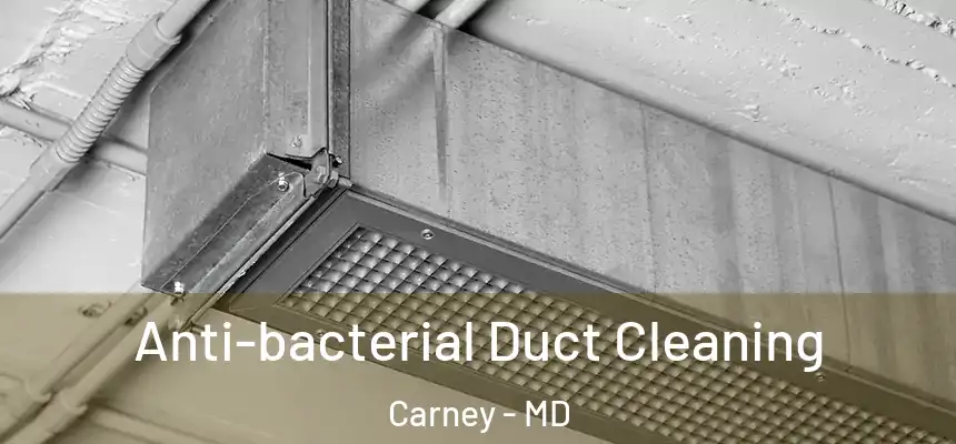 Anti-bacterial Duct Cleaning Carney - MD