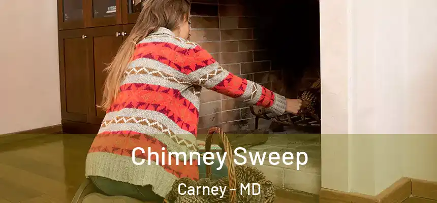 Chimney Sweep Carney - MD