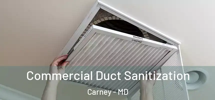 Commercial Duct Sanitization Carney - MD