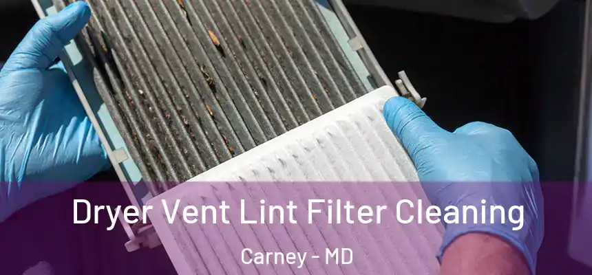  Dryer Vent Lint Filter Cleaning Carney - MD
