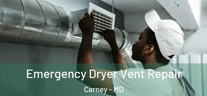  Emergency Dryer Vent Repair Carney - MD