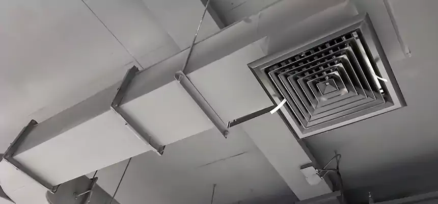 Restorative Allergy Relief Vent Cleaning – Coil, Blower & Housing Detail in Carney