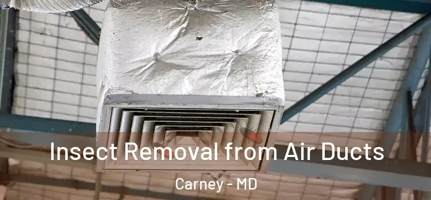 Insect Removal from Air Ducts Carney - MD
