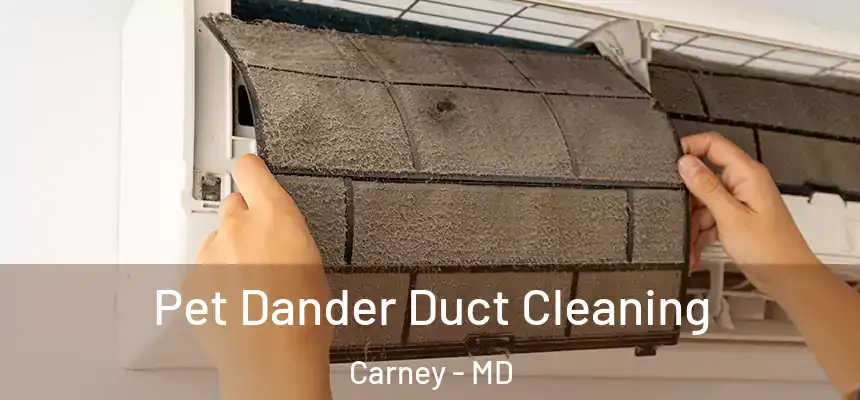  Pet Dander Duct Cleaning Carney - MD