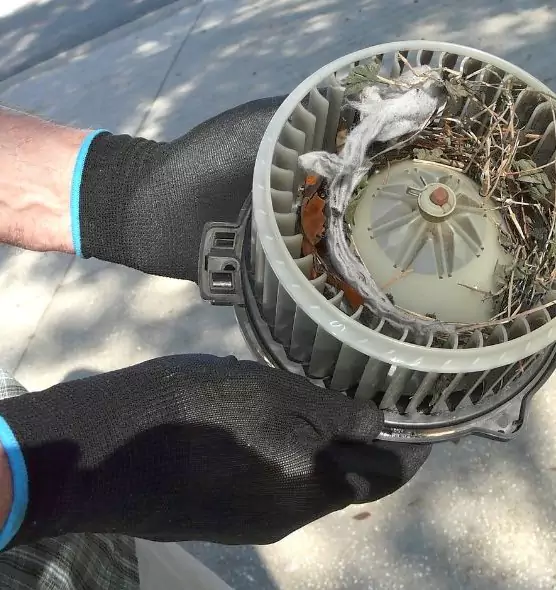 About Air Duct Mice Removal in Carney, MD