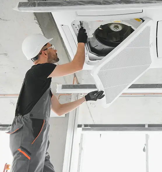 About Air Duct Rodent Removal in Carney, MD