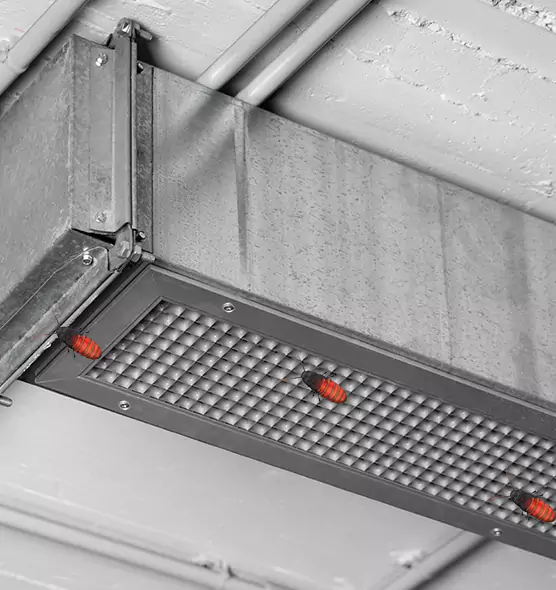 Affordable Insect Removal from Air Ducts in Carney, MD