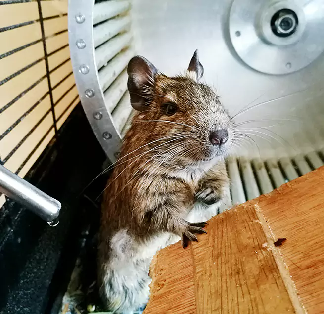 Why Homeowners & Businesses Trust Us Carney, MD