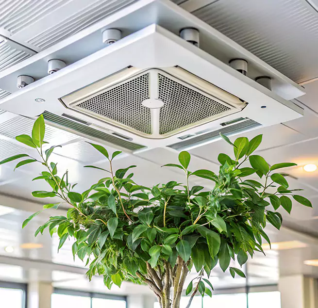 Why Homeowners & Businesses Trust Us in Carney, MD?